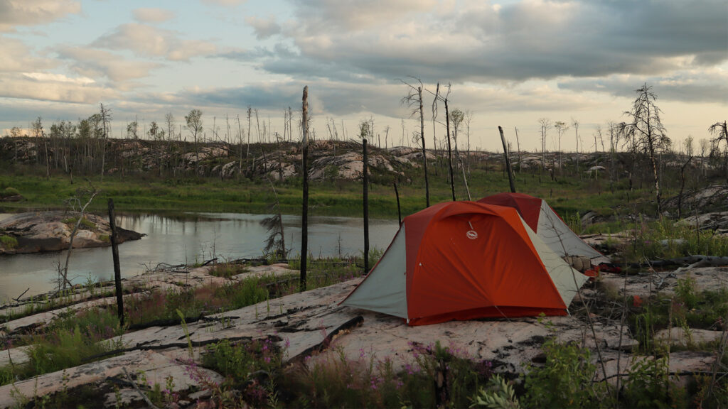 Wilderness Skills Training