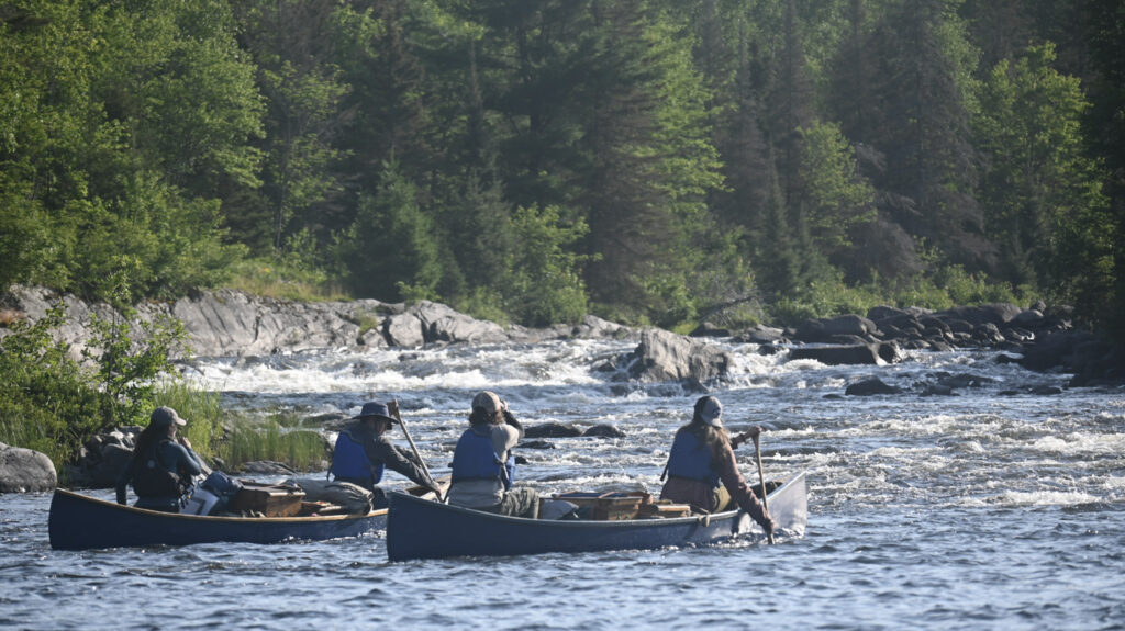 People canoeing on a scenic river