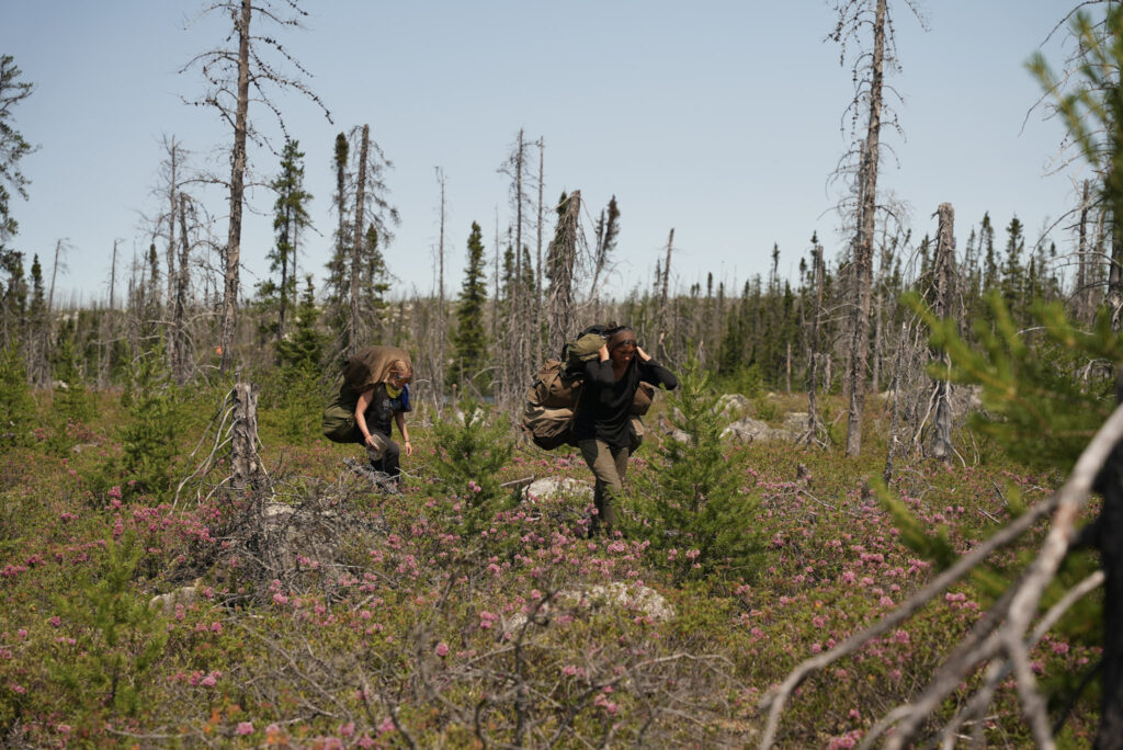 Hikers backpacking through forest with wildflowers.